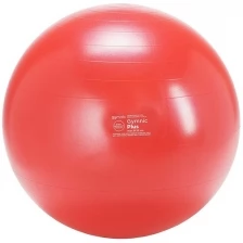 Мяч Gymnic Plus 95.39 (55 см)