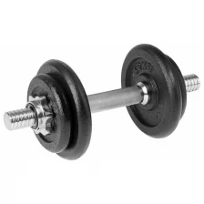 Гантель Onlitop 10kg 578749