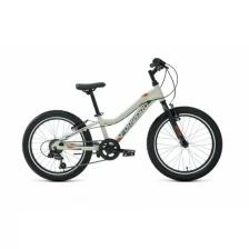 Велосипед FORWARD Twister 20 1.0-21г. (серый-оранжевый)