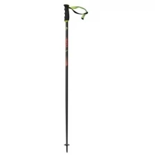 Горнолыжные Палки Fischer 2021-22 Rc4 The Curv Cf (См:130)