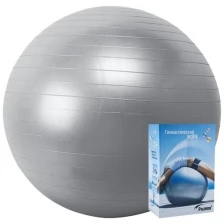 Мяч гимнастический PALMON арт.r324065, диам. 65 см, серебристый