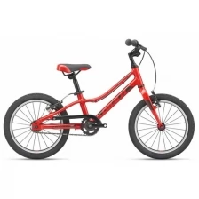 Детский велосипед Giant ARX 16 F/W 2021