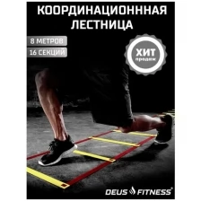 Лестница координационная DEUS FITNESS, длина 8 метров, 16 секций